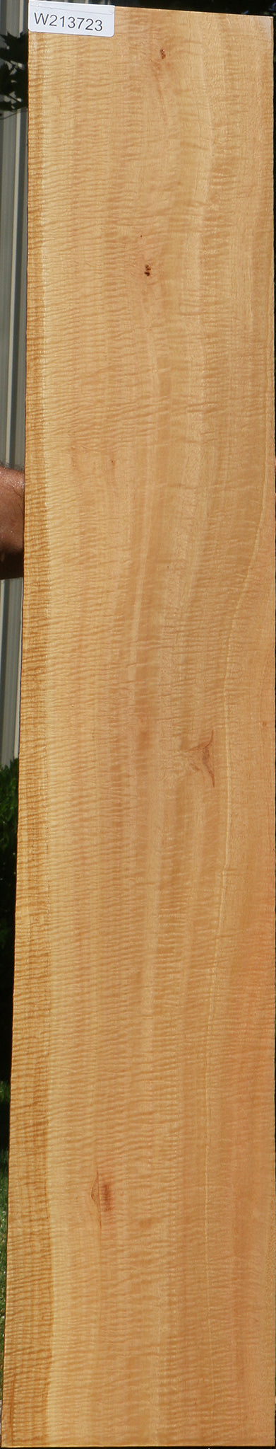 Exhibition Eucalyptus Micro Lumber