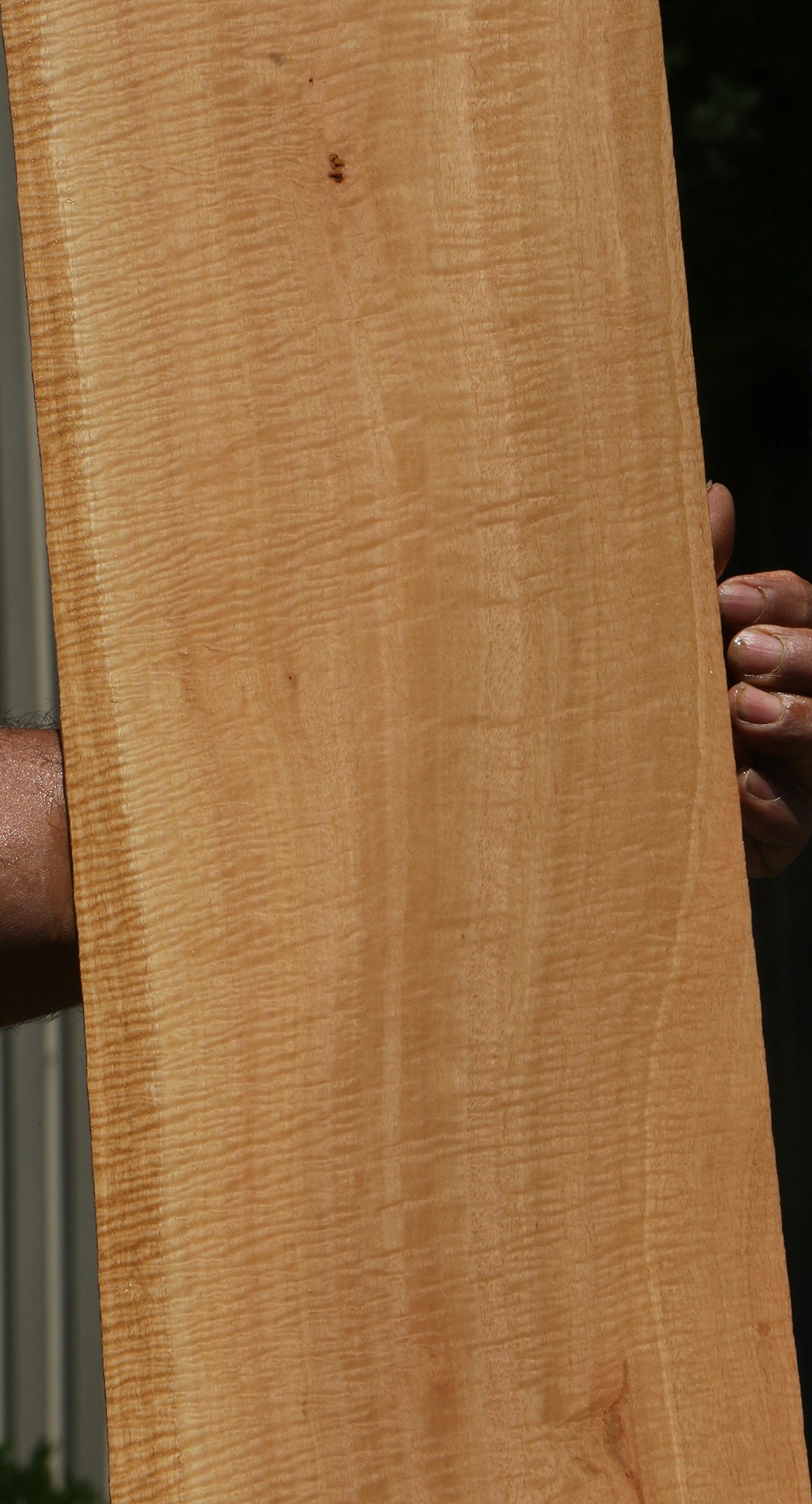 Exhibition Eucalyptus Micro Lumber