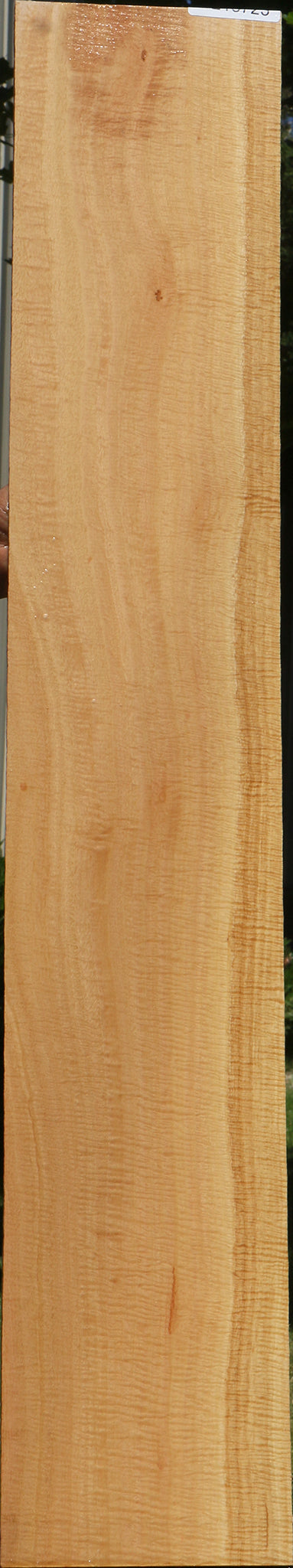 Exhibition Eucalyptus Micro Lumber