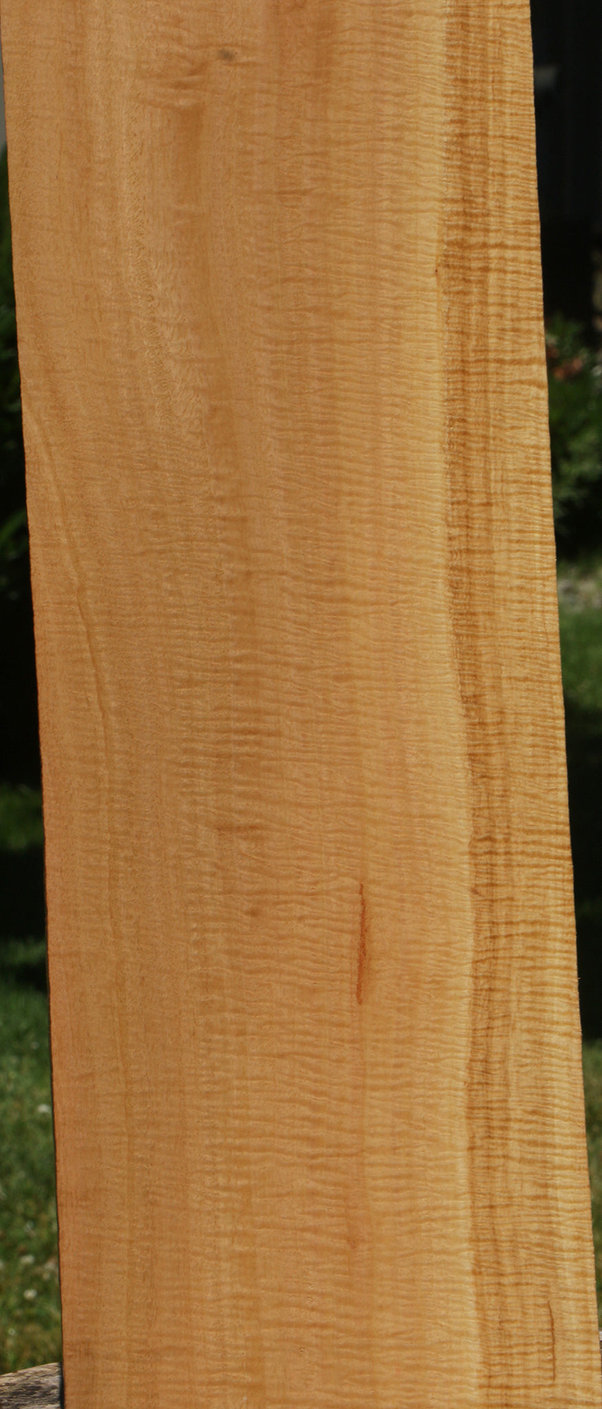 Exhibition Eucalyptus Micro Lumber