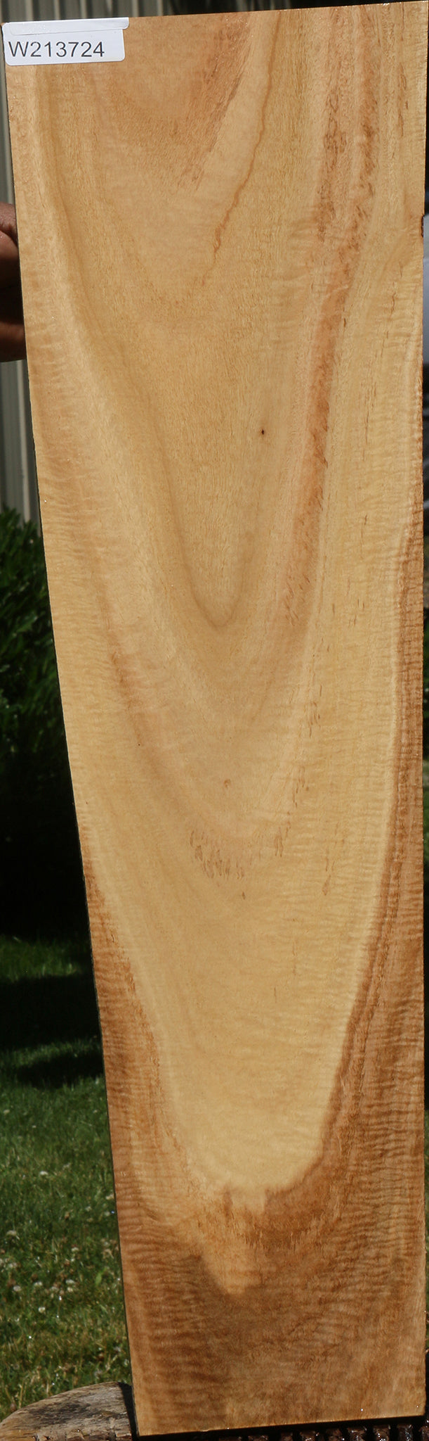 Extra Fancy Eucalyptus Micro Lumber