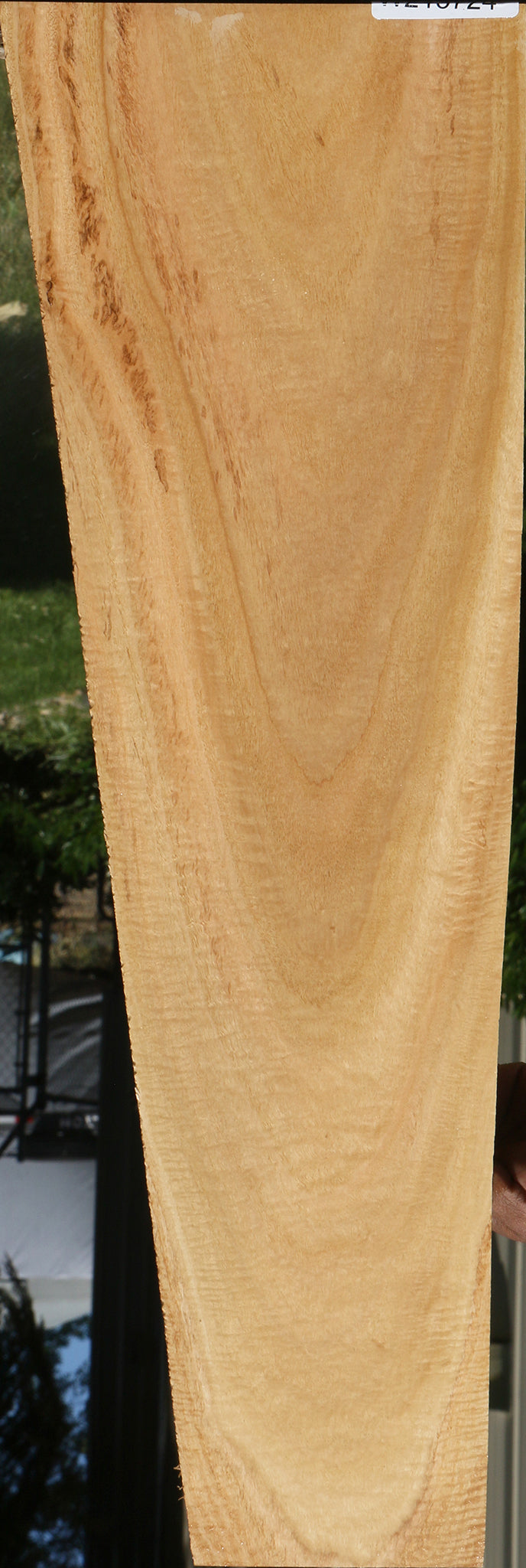 Extra Fancy Eucalyptus Micro Lumber