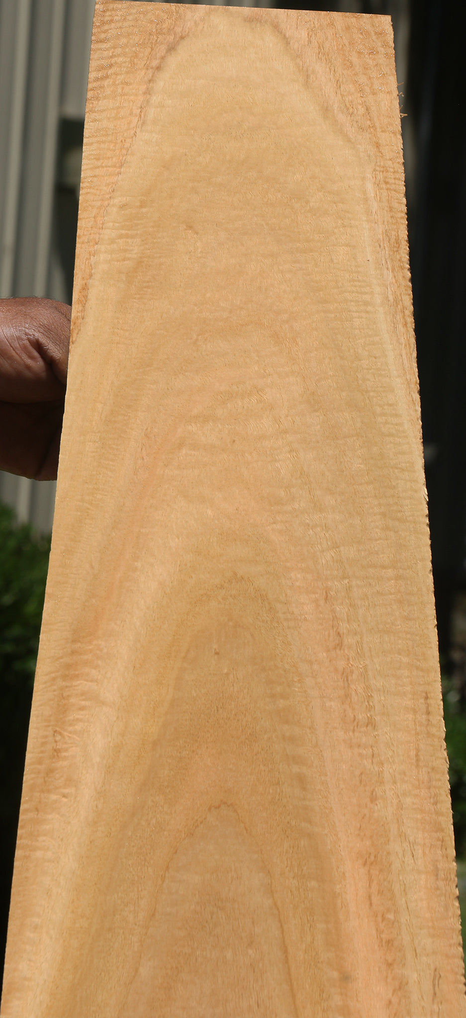 Extra Fancy Eucalyptus Micro Lumber