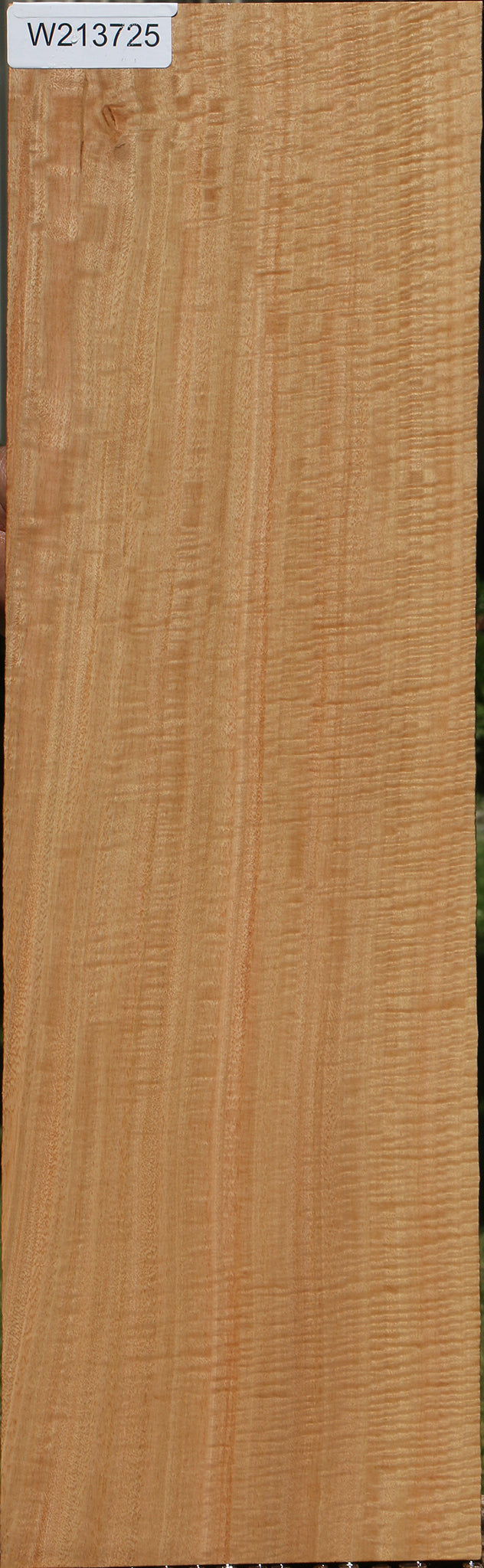 Exhibition Eucalyptus Micro Lumber