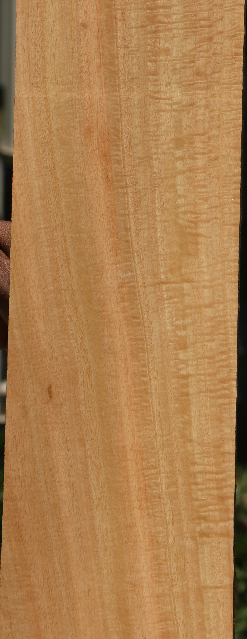 Figured Eucalyptus Micro Lumber