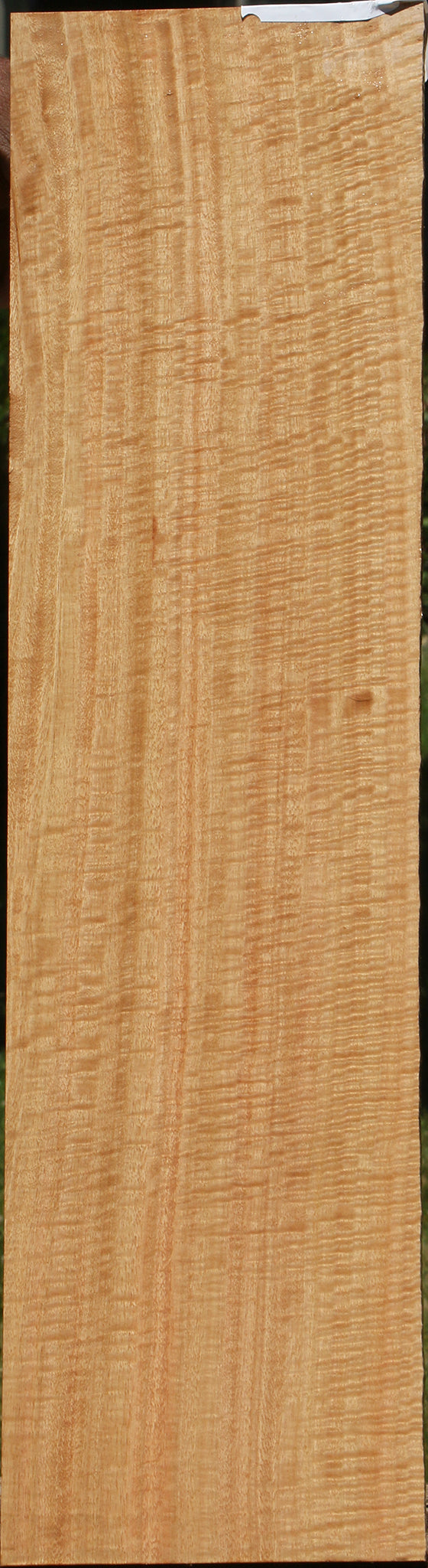 Exhibition Eucalyptus Micro Lumber