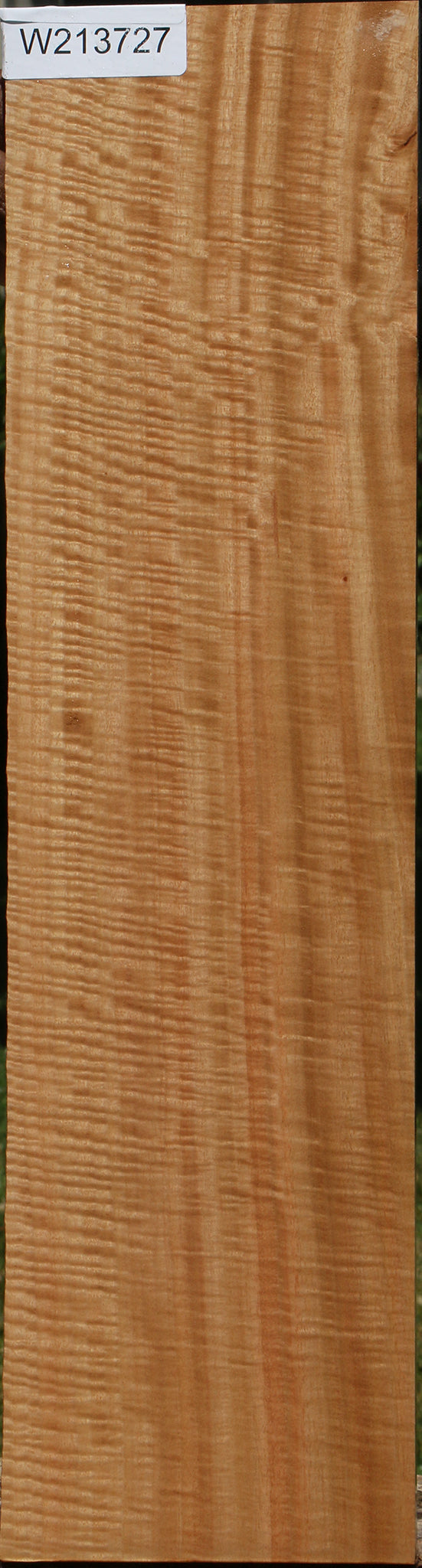 Exhibition Eucalyptus Micro Lumber