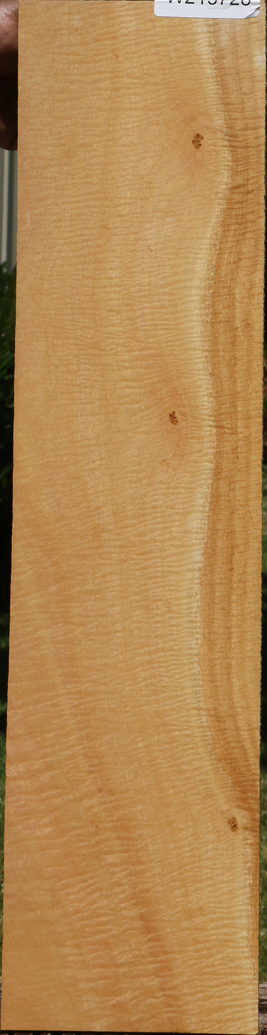 Exhibition Eucalyptus Micro Lumber