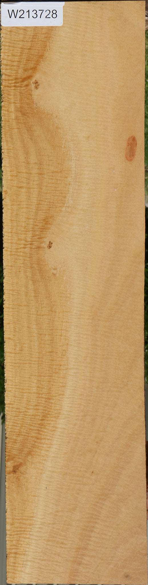 Exhibition Eucalyptus Micro Lumber