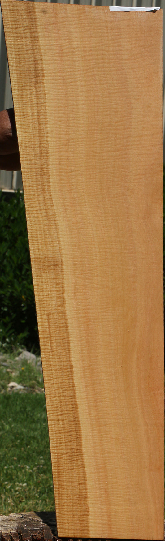 Exhibition Eucalyptus Micro Lumber