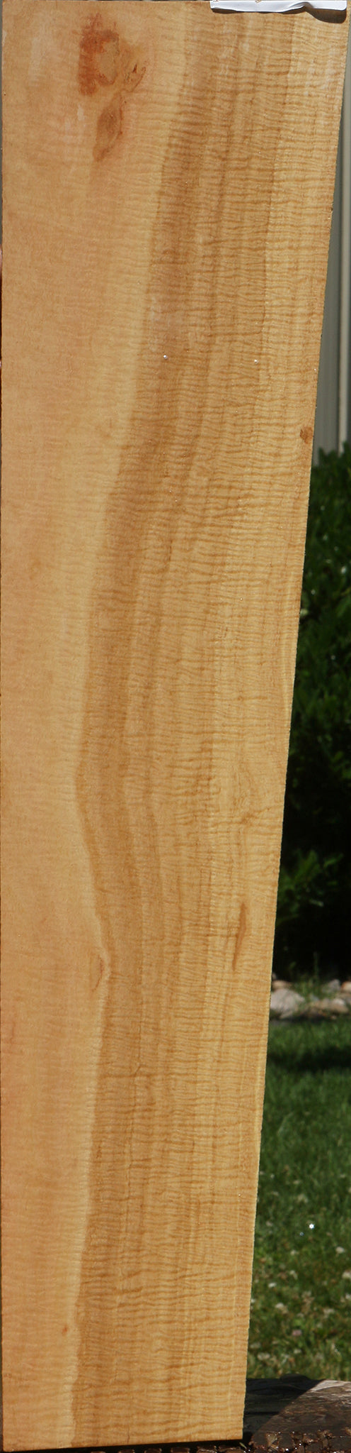 Exhibition Eucalyptus Micro Lumber