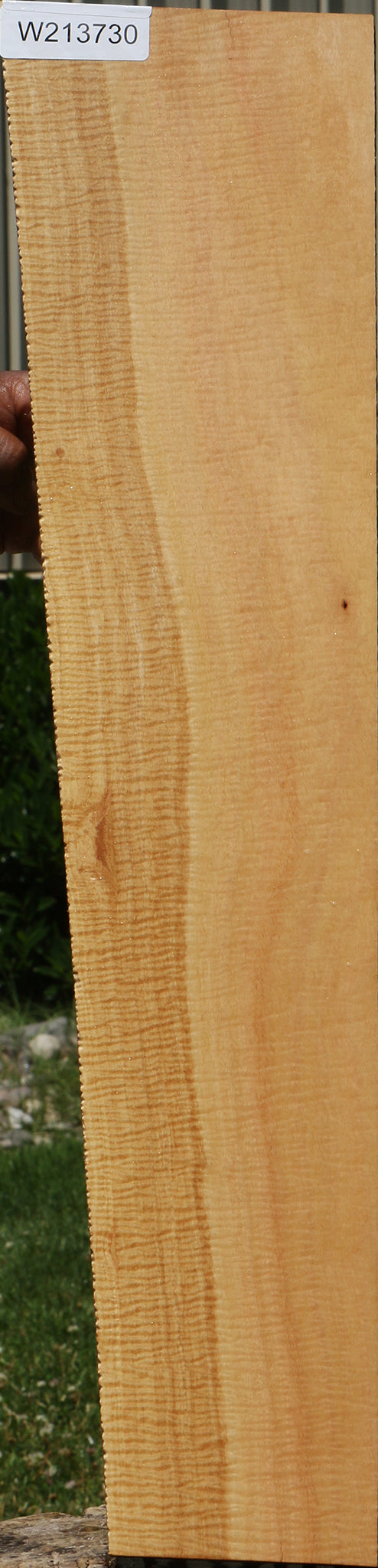 Exhibition Eucalyptus Micro Lumber