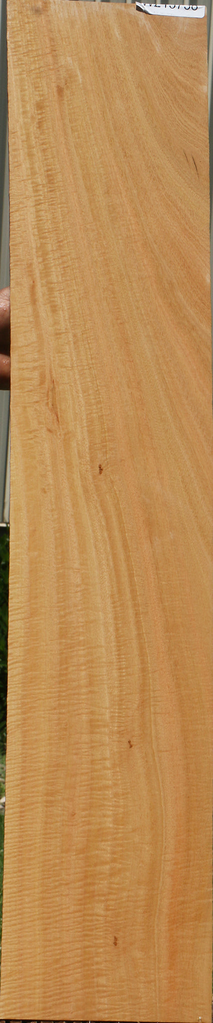 Extra Fancy Eucalyptus Micro Lumber