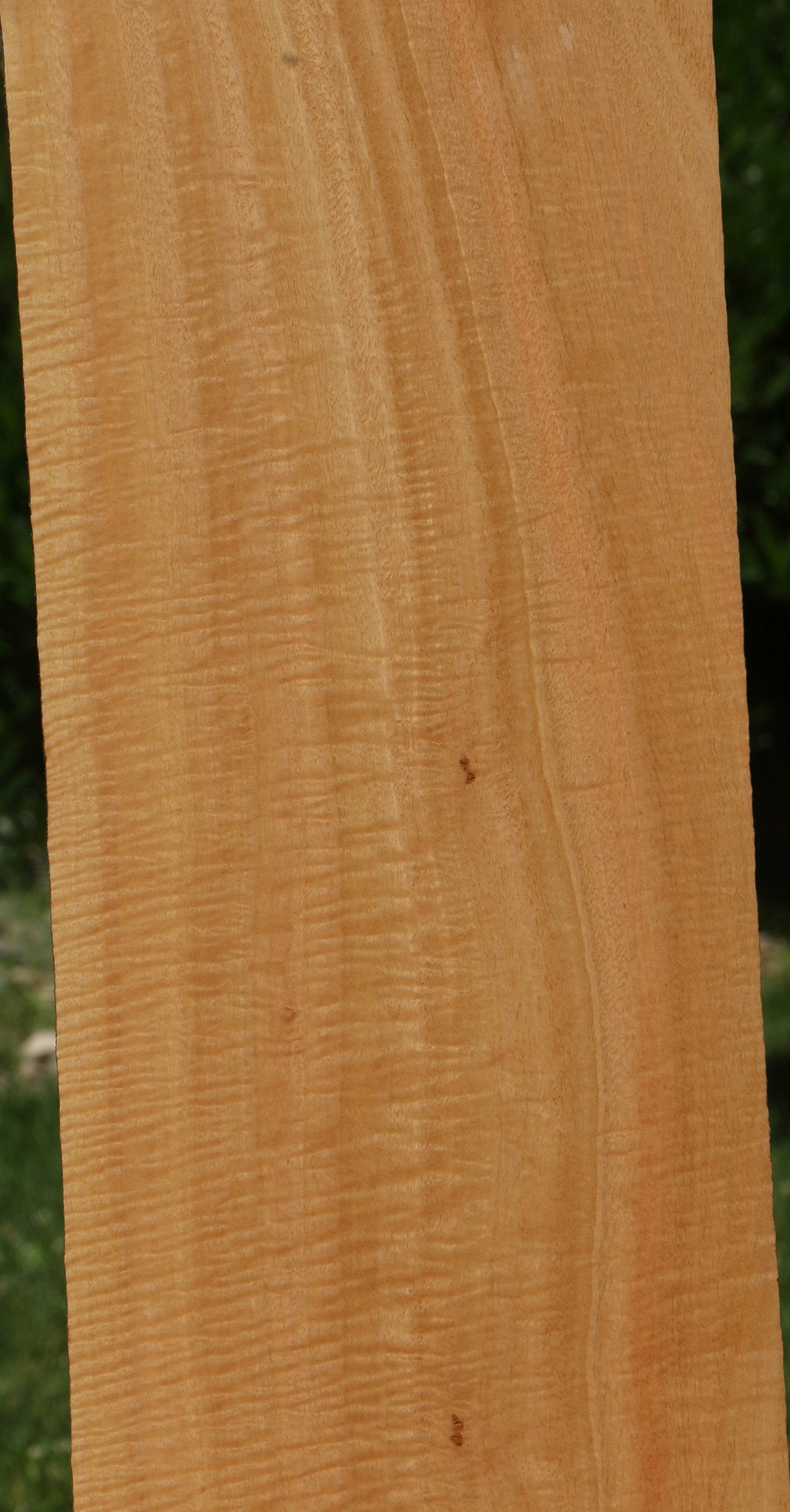 Extra Fancy Eucalyptus Micro Lumber