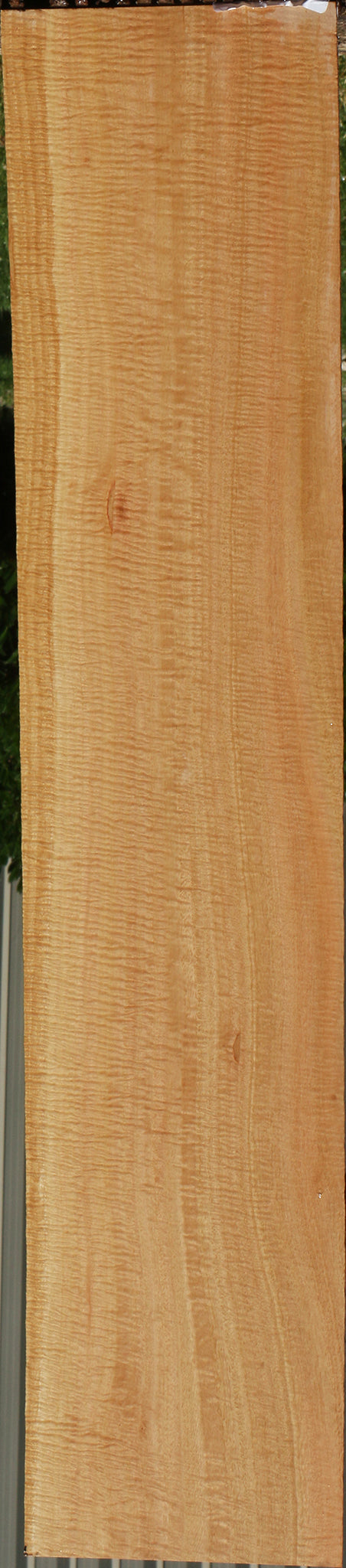 Exhibition Eucalyptus Micro Lumber