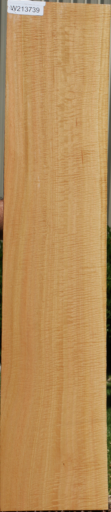 Exhibition Eucalyptus Micro Lumber