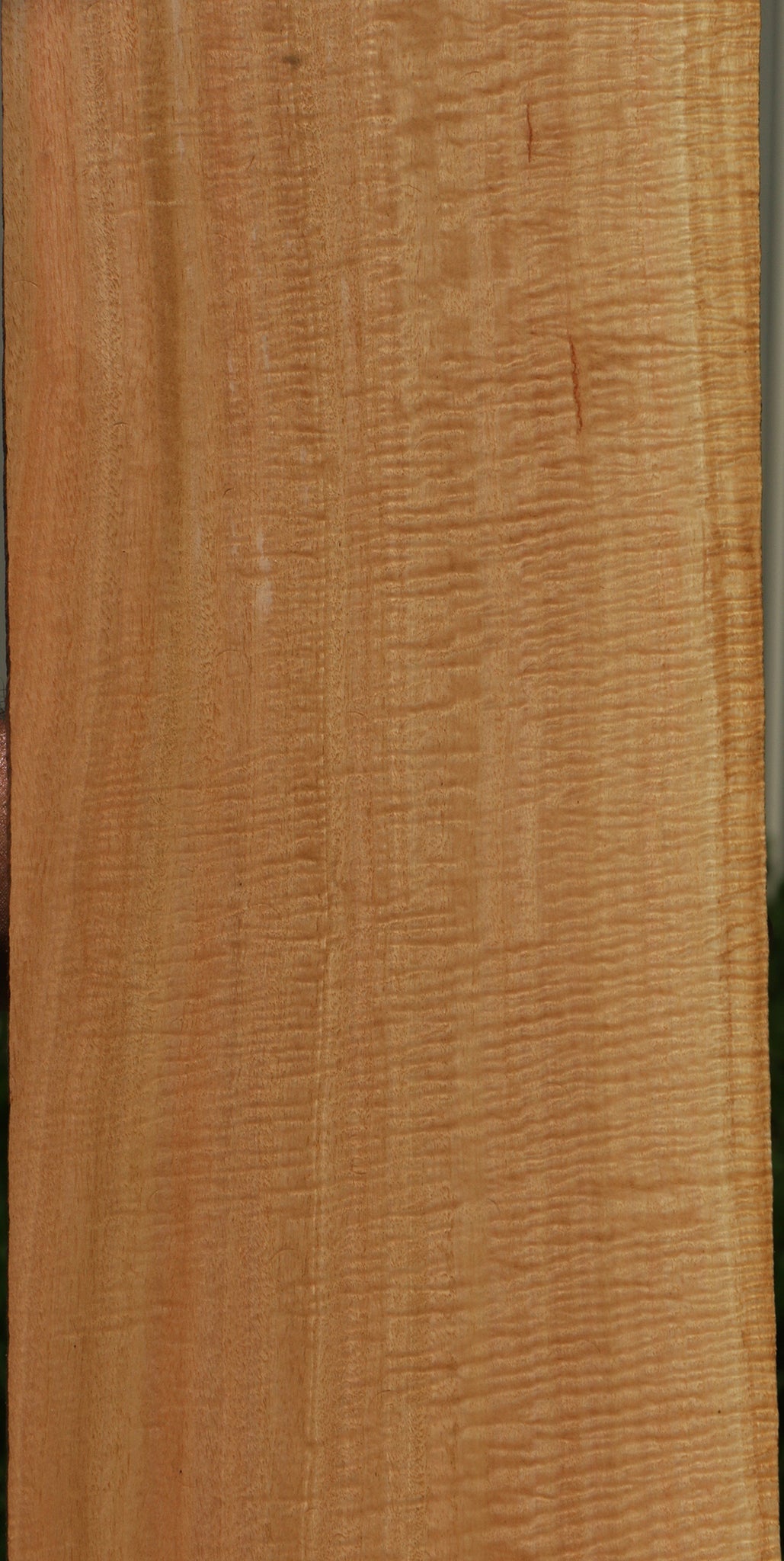 Exhibition Eucalyptus Micro Lumber