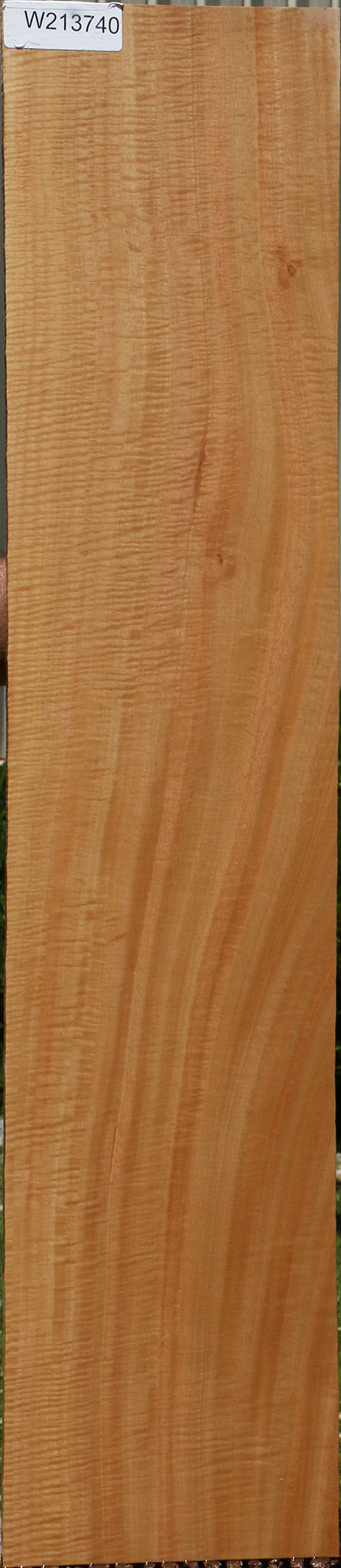 Exhibition Eucalyptus Micro Lumber