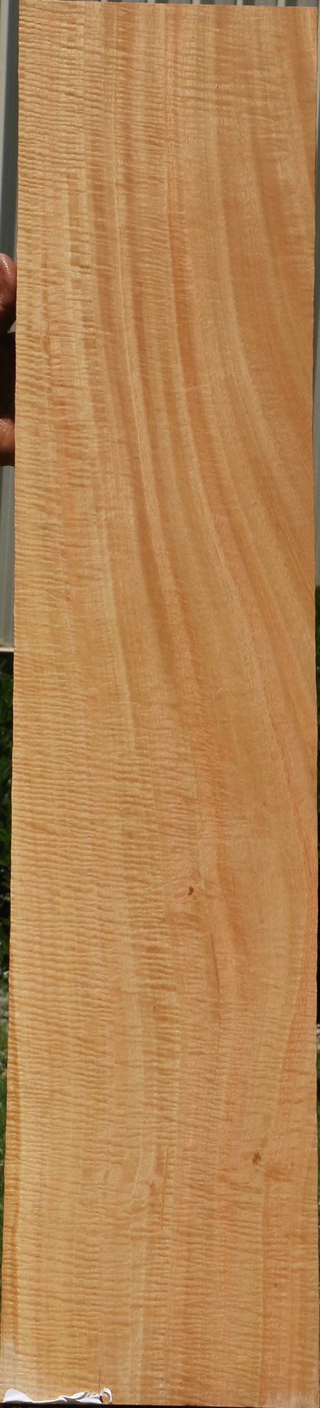 Exhibition Eucalyptus Micro Lumber