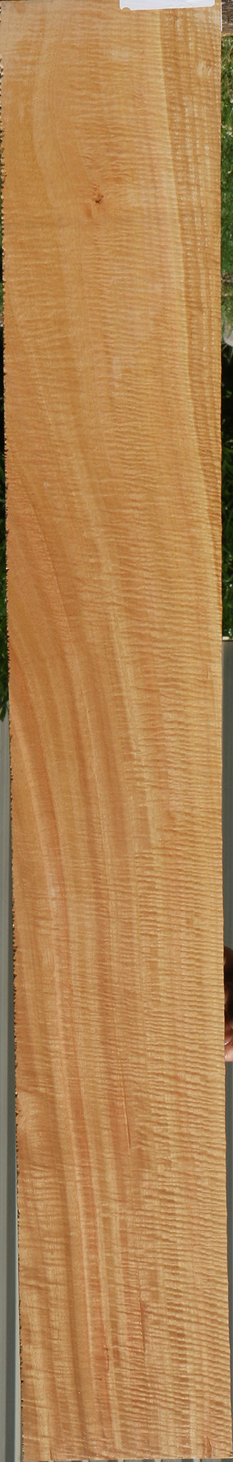 Exhibition Eucalyptus Micro Lumber