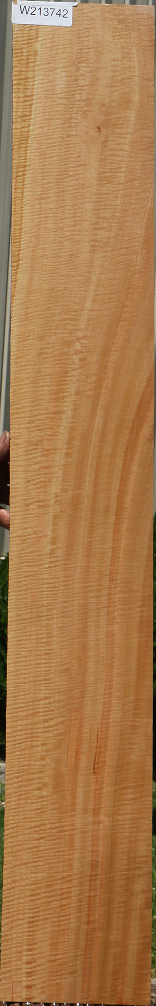 Exhibition Eucalyptus Micro Lumber