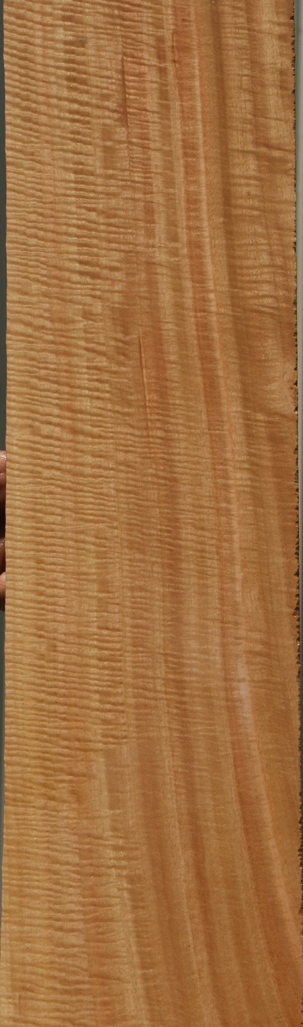 Exhibition Eucalyptus Micro Lumber