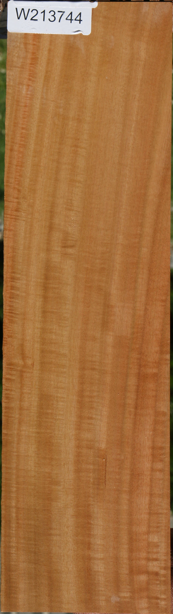 Figured Eucalyptus Micro Lumber