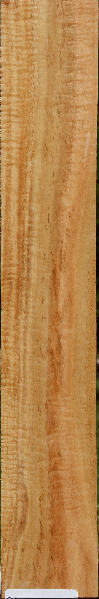 Extra Fancy Eucalyptus Micro Lumber