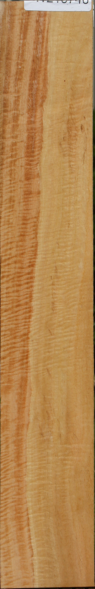 Exhibition Eucalyptus Micro Lumber