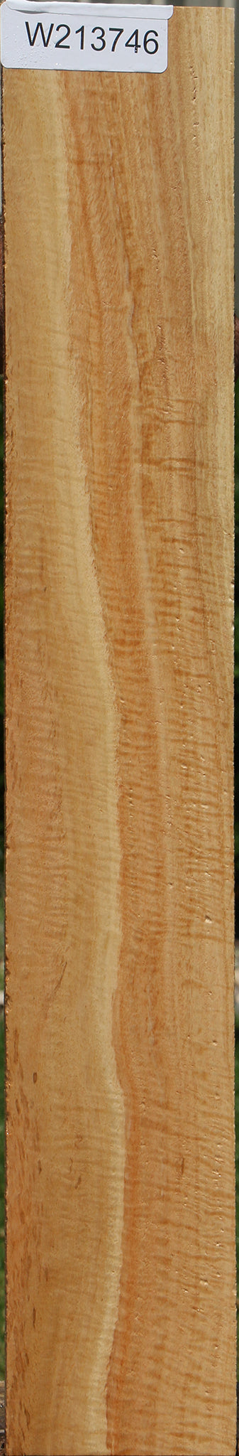 Exhibition Eucalyptus Micro Lumber