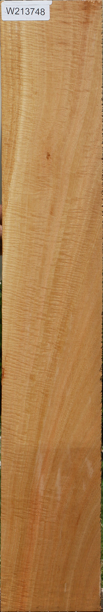 Extra Fancy Eucalyptus Micro Lumber