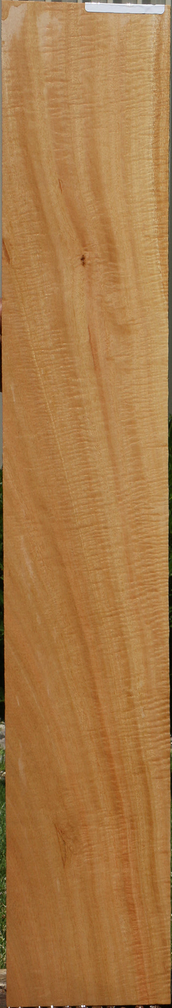 Extra Fancy Eucalyptus Micro Lumber