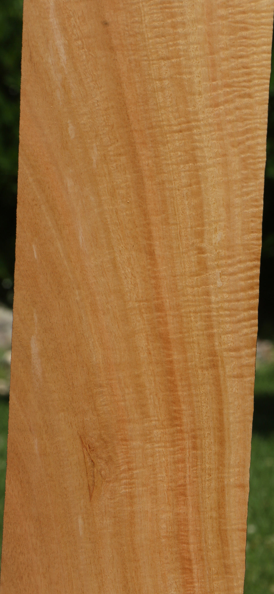 Extra Fancy Eucalyptus Micro Lumber