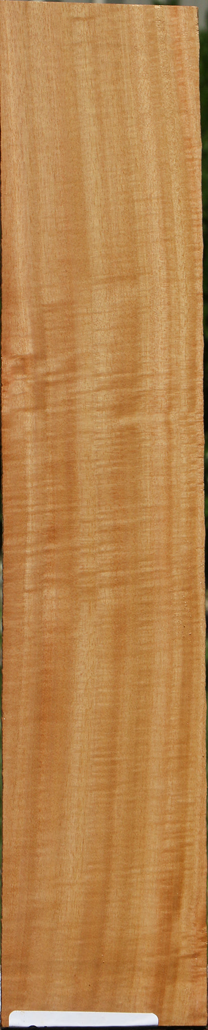 Figured Eucalyptus Micro Lumber