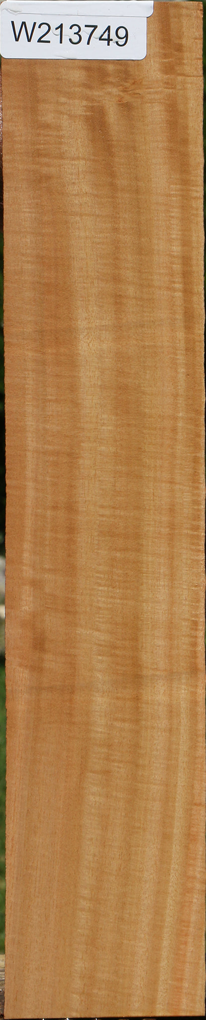 Figured Eucalyptus Micro Lumber