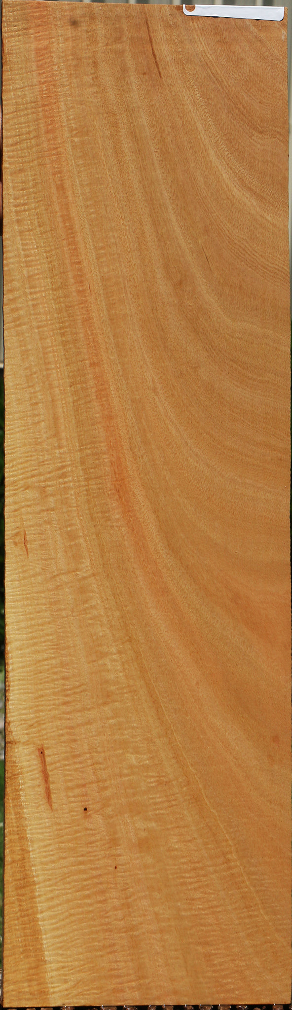 Extra Fancy Eucalyptus Micro Lumber