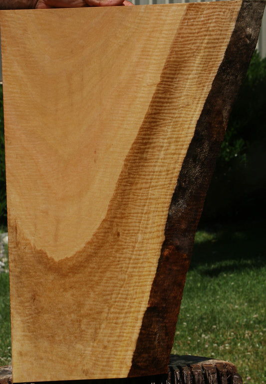 Exhibition Eucalyptus Live Edge Lumber