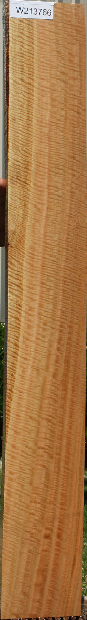 Exhibition Eucalyptus Lumber