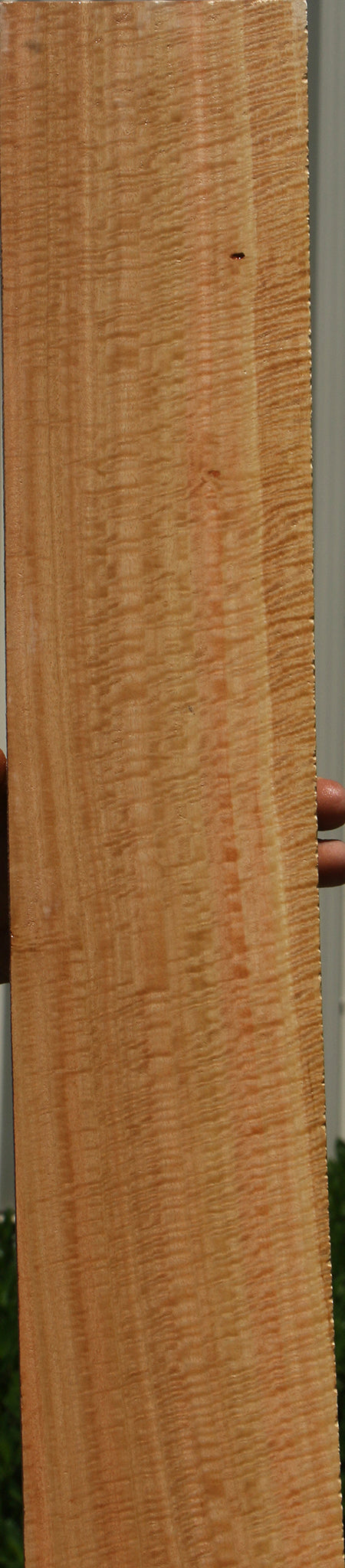 Exhibition Eucalyptus Lumber