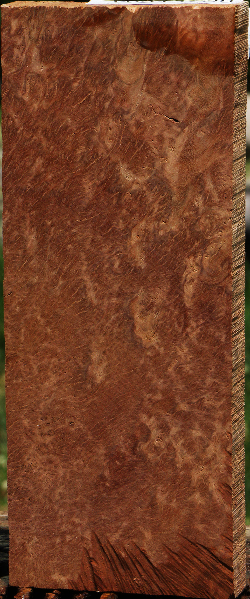 Red Coolibah Burl Lumber