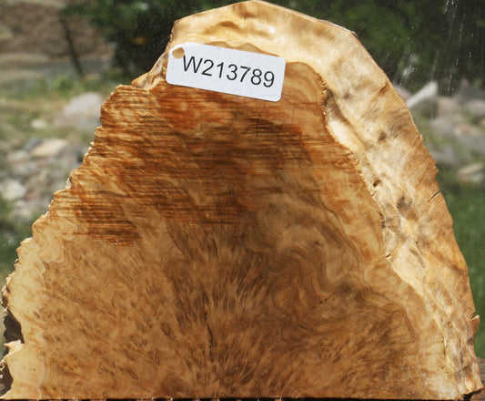 Brown Mallee Burl Slice