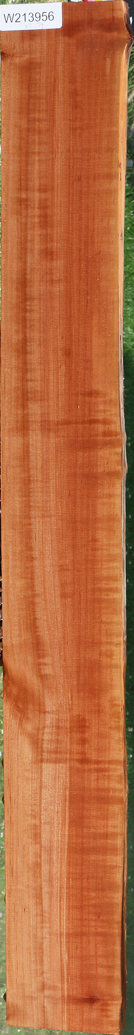 Extra Fancy Swiss Pear Live Edge Lumber