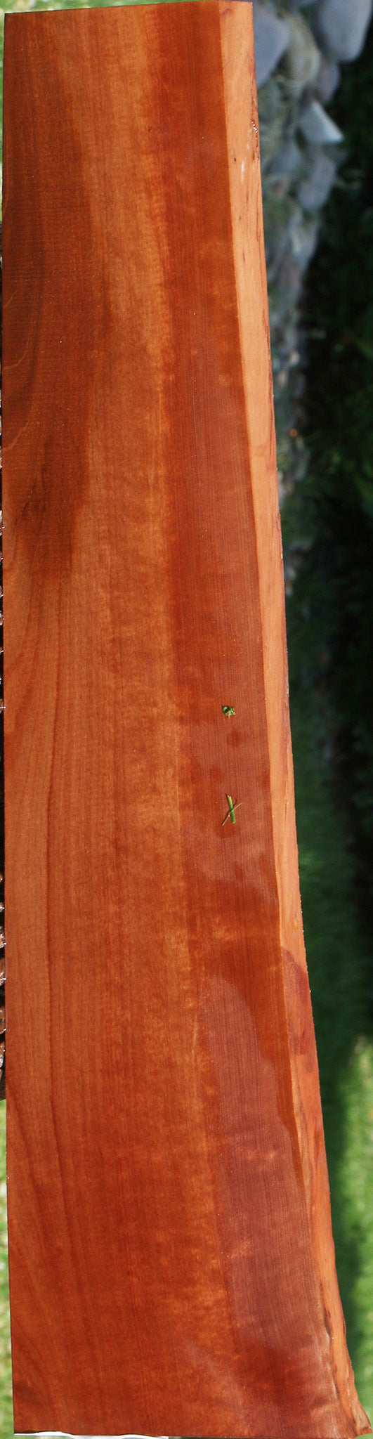 Extra Fancy Swiss Pear Live Edge Lumber