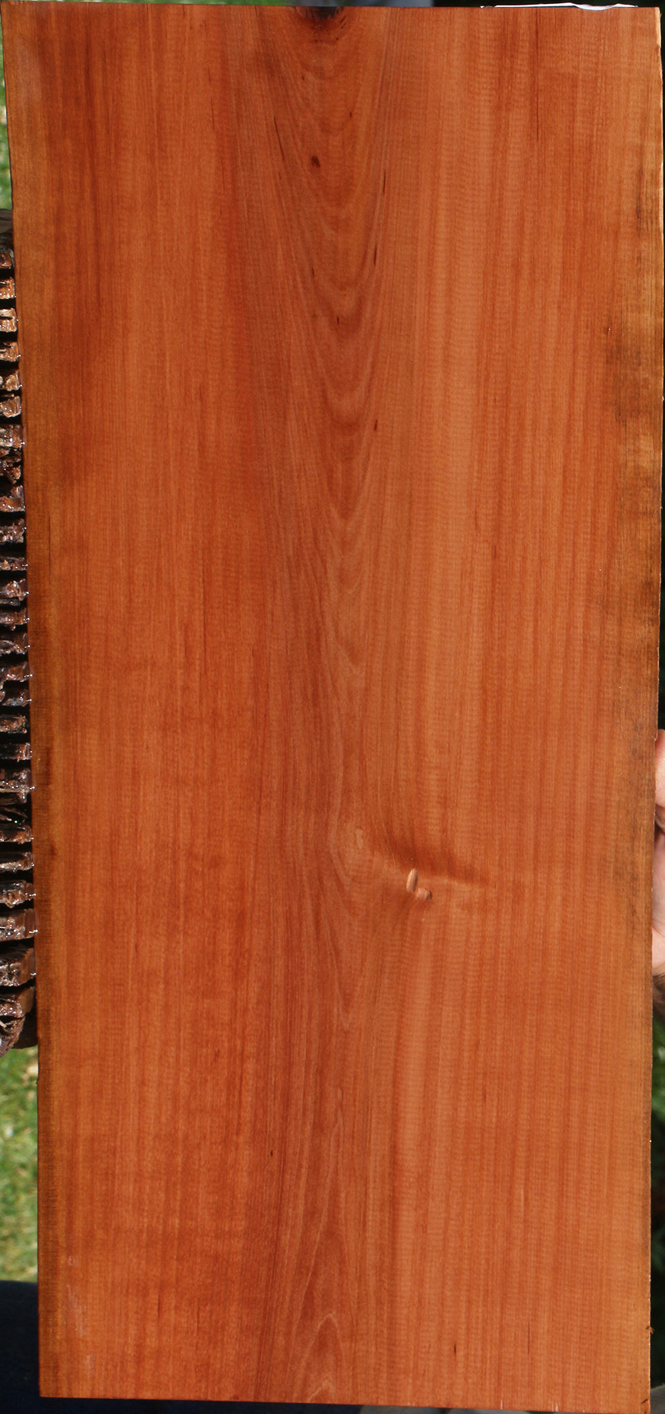 Swiss Pear Live Edge Lumber