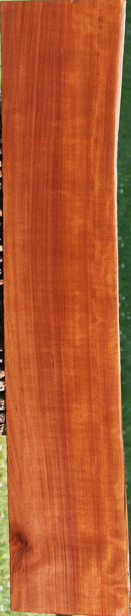 Figured Swiss Pear Live Edge Lumber