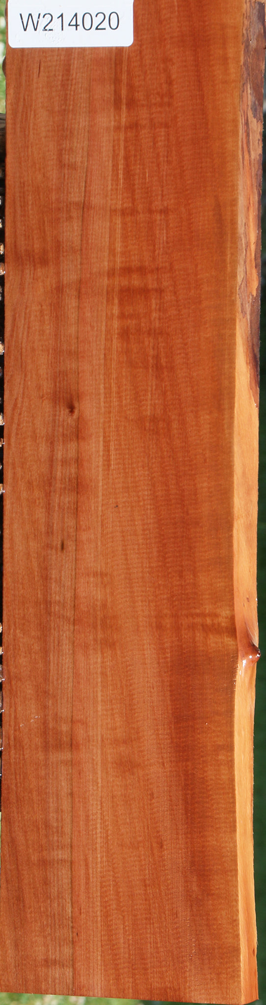 Figured Swiss Pear Live Edge Lumber