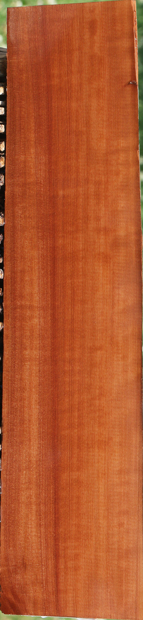 Figured Swiss Pear Live Edge Lumber