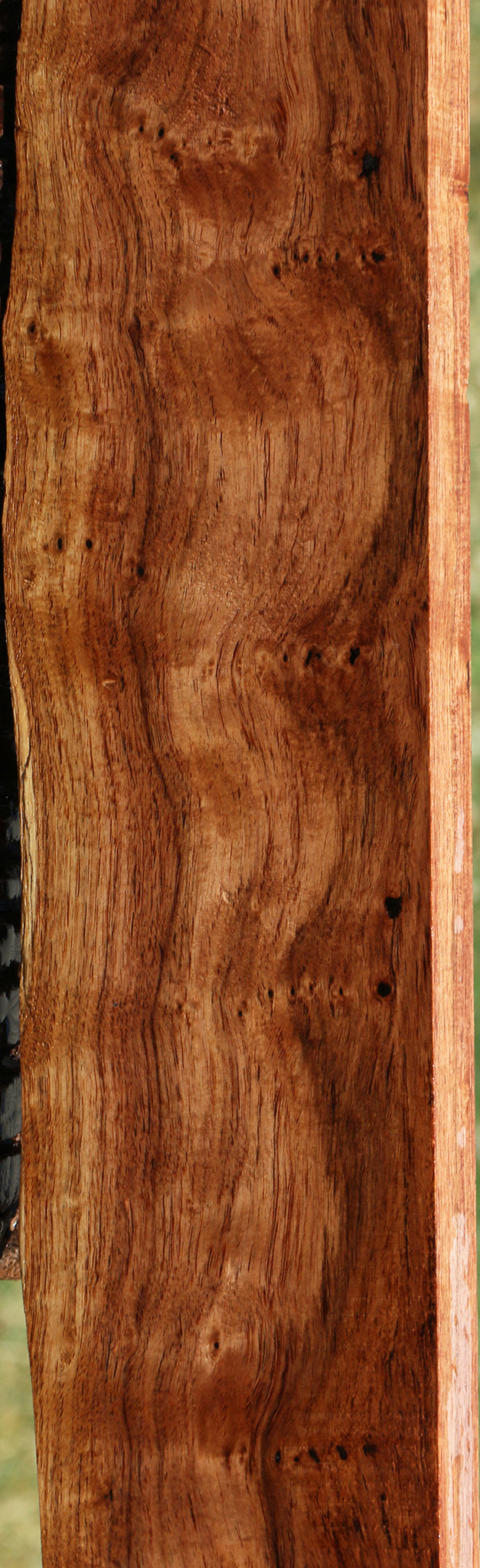 Extra Fancy Madagascar Rosewood Live Edge Lumber