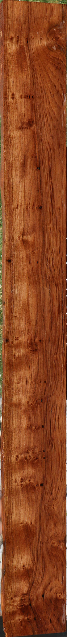 Madagascar Rosewood Live Edge Lumber