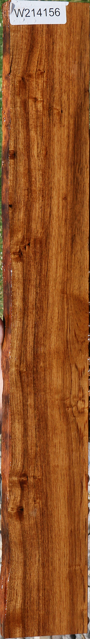 Madagascar Rosewood Live Edge Lumber